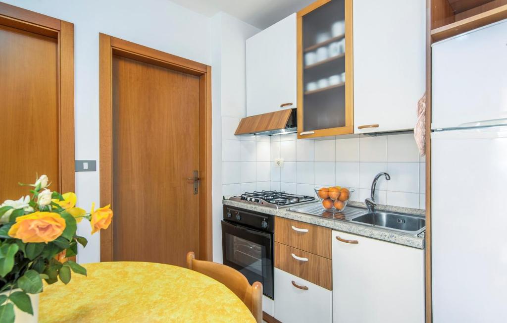 Kuchyňa alebo kuchynka v ubytovaní Apartment Batana