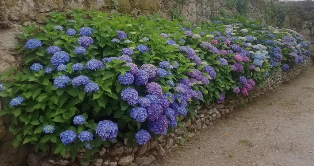 Zahrada ubytování Quinta da Tapada