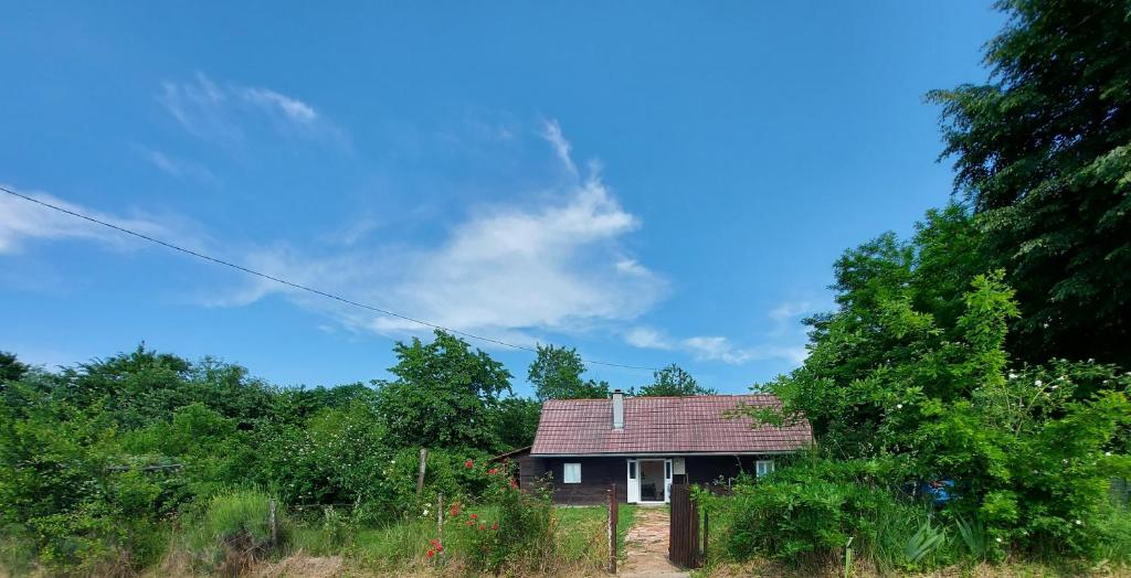 a small house in the middle of a field at Dada House Nature Holiday in Gornja Čemernica
