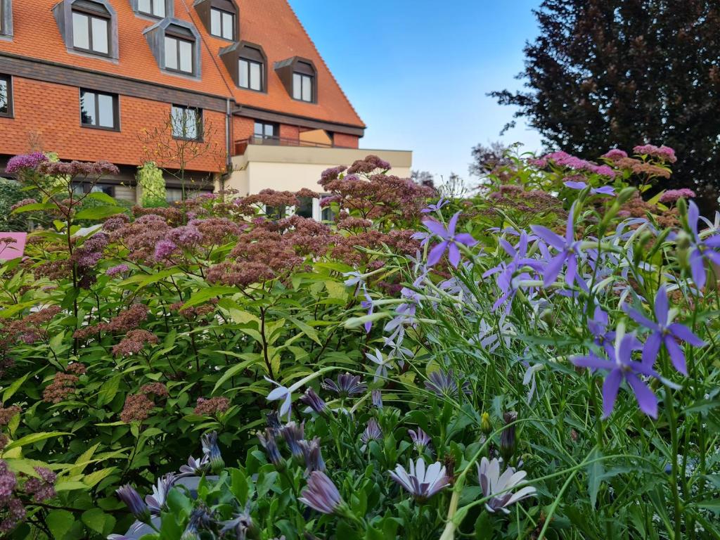 Zahrada ubytování Hotel L'Europe