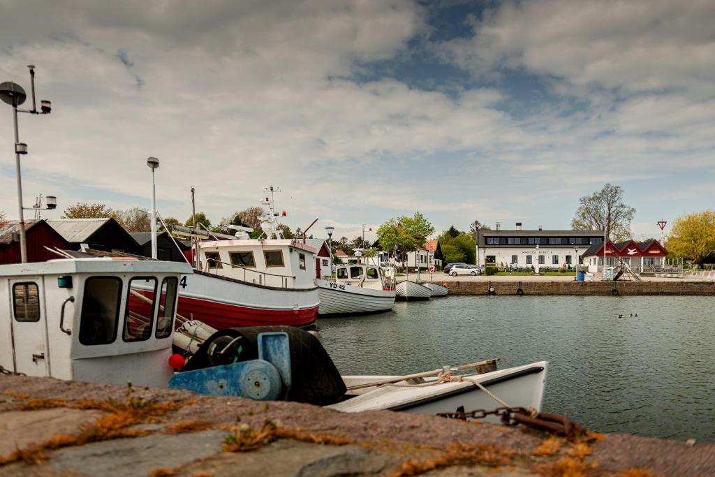 un grupo de barcos atracados en un cuerpo de agua en Bongska Huset en Abbekås