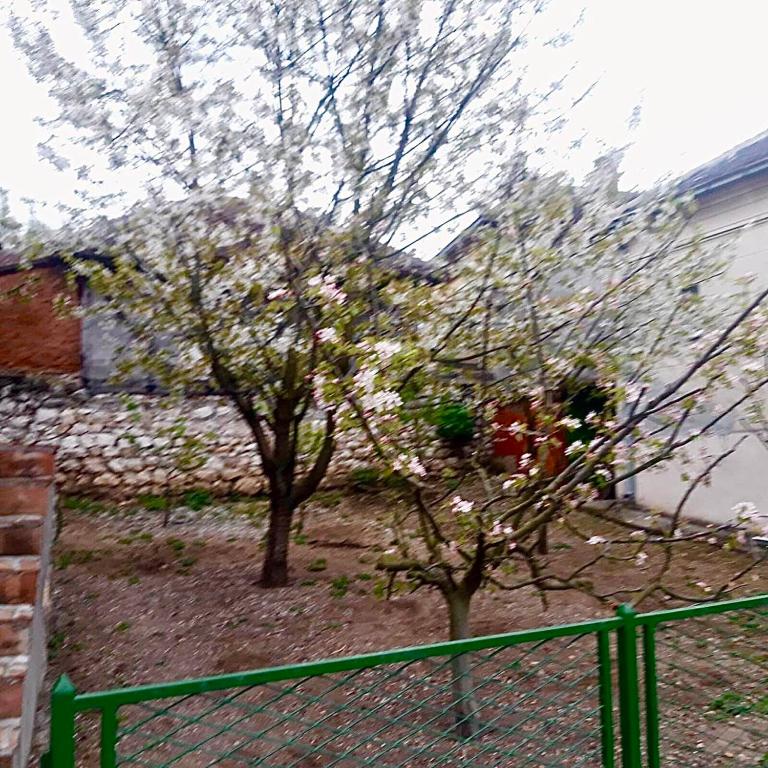 Zahrada ubytování Apartman STOJANOVIĆ