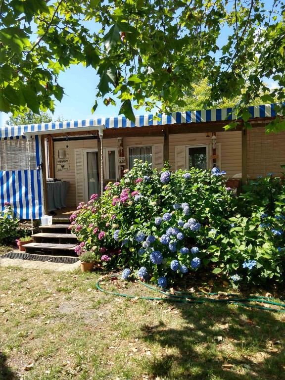 Zahrada ubytování GH Vacances La Réserve