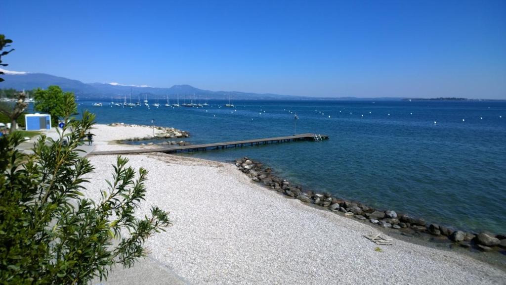 a beach with a dock in the water at Campeggio delle Rose in Moniga