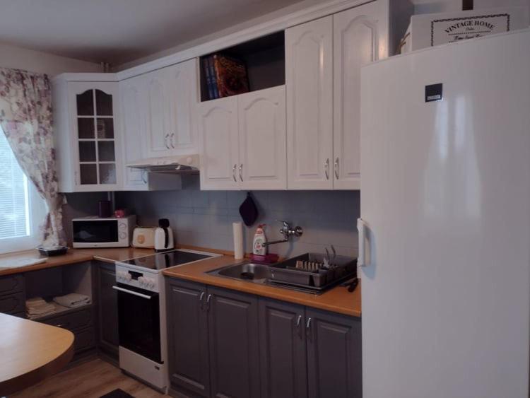 Kuchyň nebo kuchyňský kout v ubytování Villa LIKE "garden-grill"