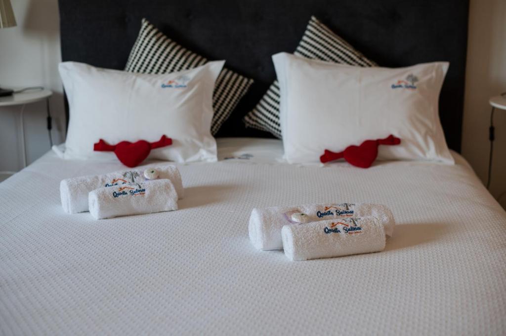 Quinta Salinas - Puro Prazer - 9