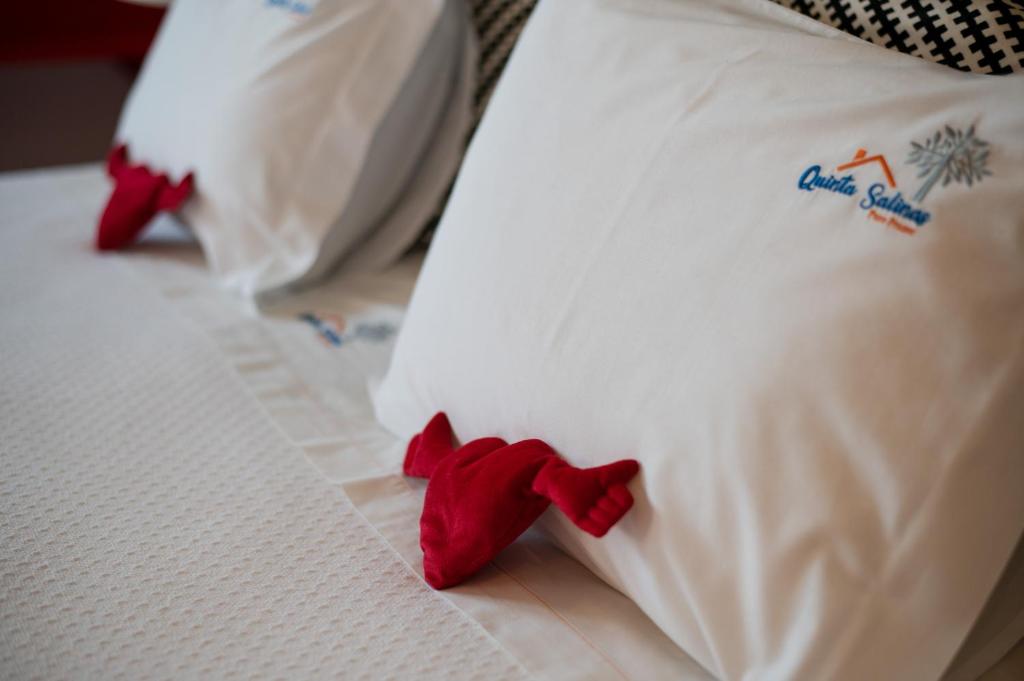 Quinta Salinas - Puro Prazer - 8