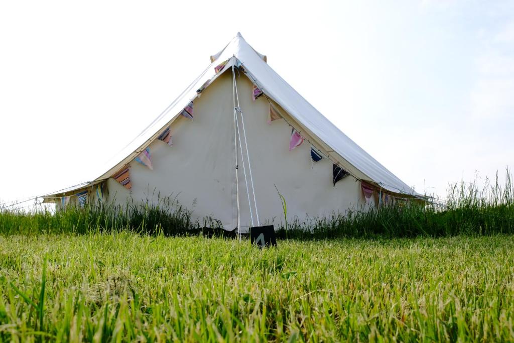 Freespirit Glamping في يورك: خيمة بيضاء كبيرة في ميدان عشب