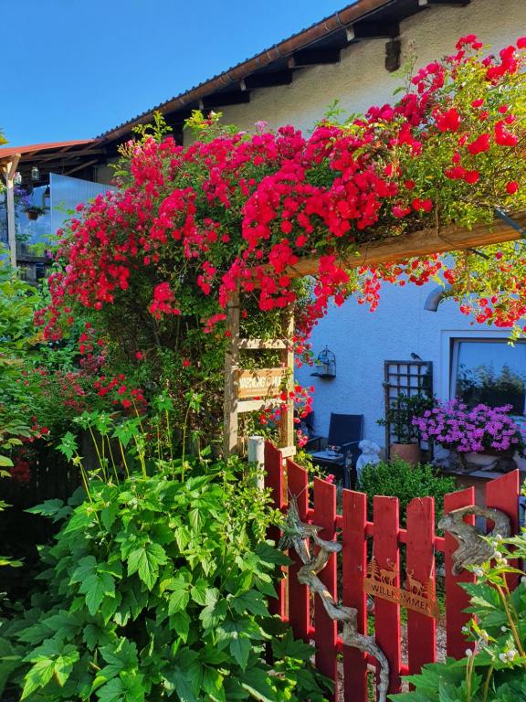 a bunch of red flowers on a building at Ferienwohnung Tiroler Auszeit in Hofen