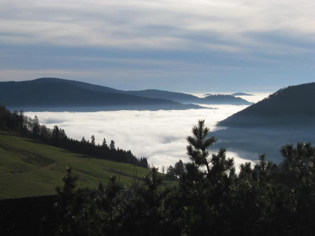 uma vista para um vale nevoeiro com árvores e montanhas em Schöne Aussicht em Todtnau