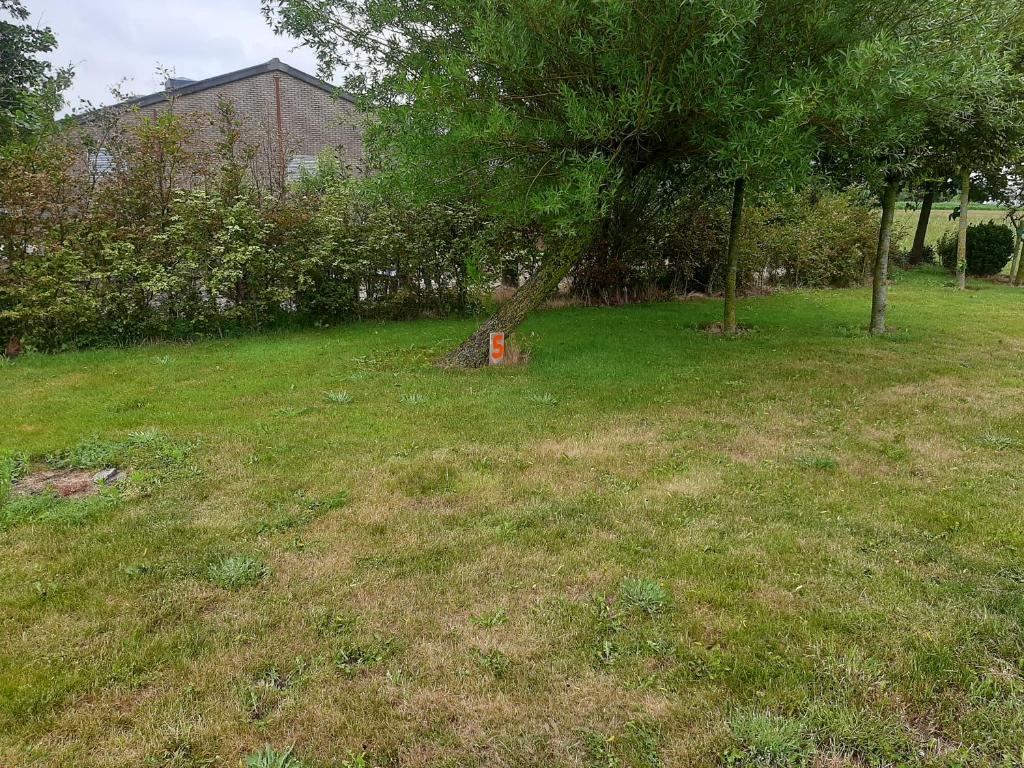 empty spot on grass Camping The Tulip - Empty Lot