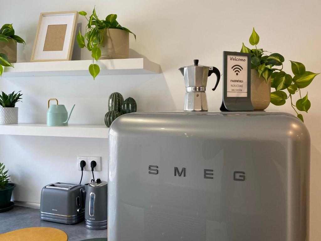 un frigorifero argentato seduto su un bancone con piante di Project Montalvão a Setúbal