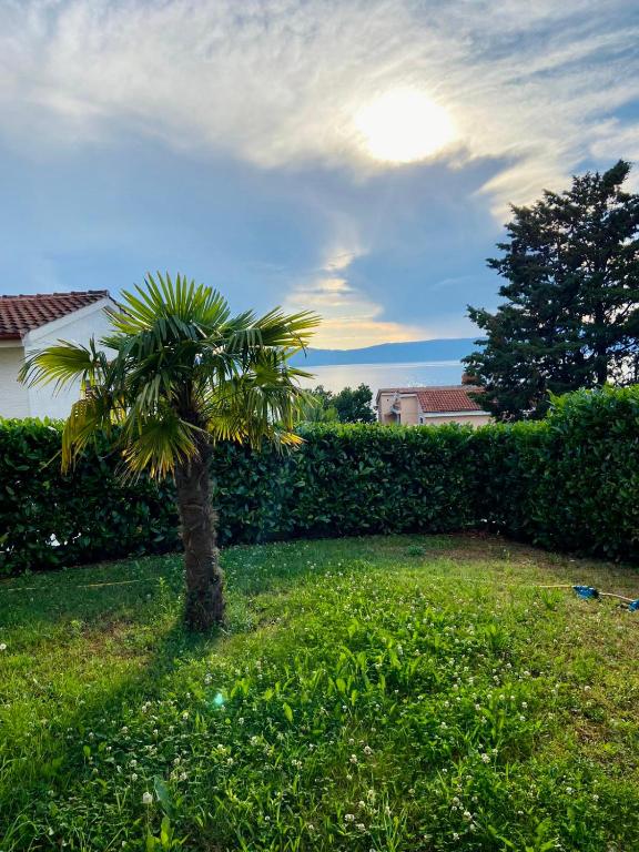 Vonkajšia záhrada v ubytovaní Villa Rudy Holiday Home
