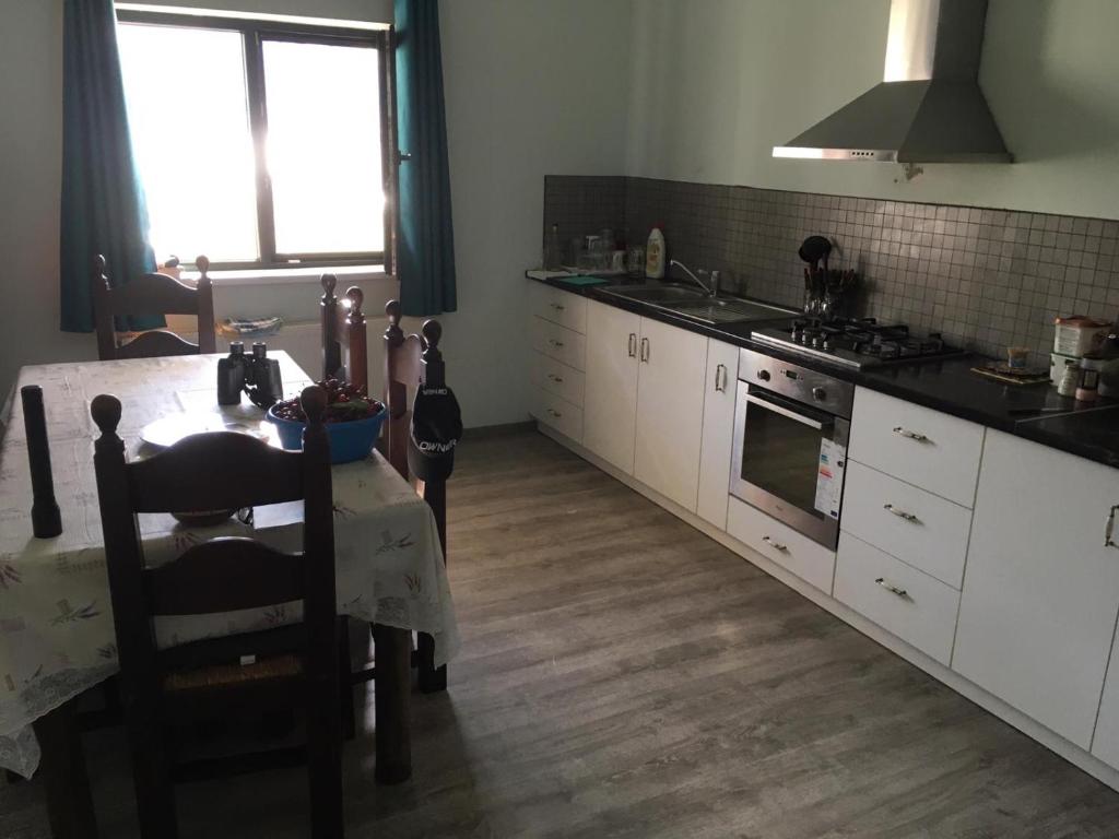 Kuchyň nebo kuchyňský kout v ubytování VILA SARA
