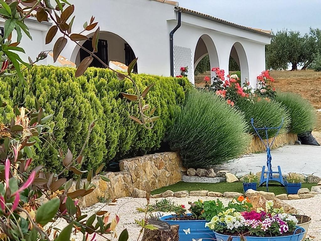 un jardín con varios arbustos y flores en macetas en Casa Moya en Alcalá la Real