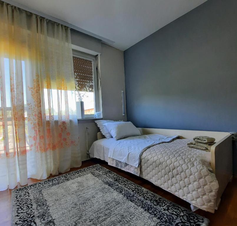 um quarto com uma cama e uma janela em Villa on the Danube (Vila na Dunavu) em Novi Banovci