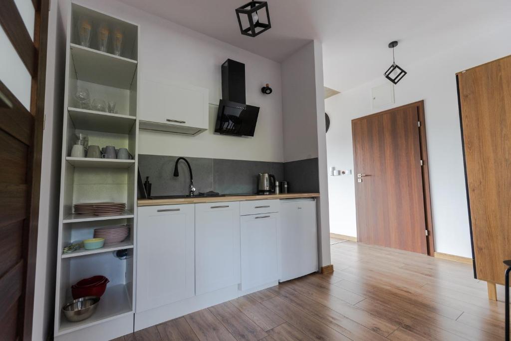 Kuchyňa alebo kuchynka v ubytovaní Krościenko Grywałd Czorsztyn Apartamenty Frysiówka