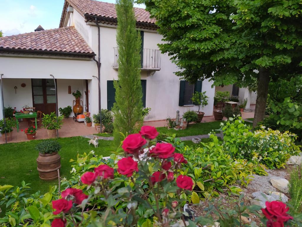 un jardin avec des roses rouges en face d'une maison dans l'établissement Al Vecchio Camino, à Rotonda