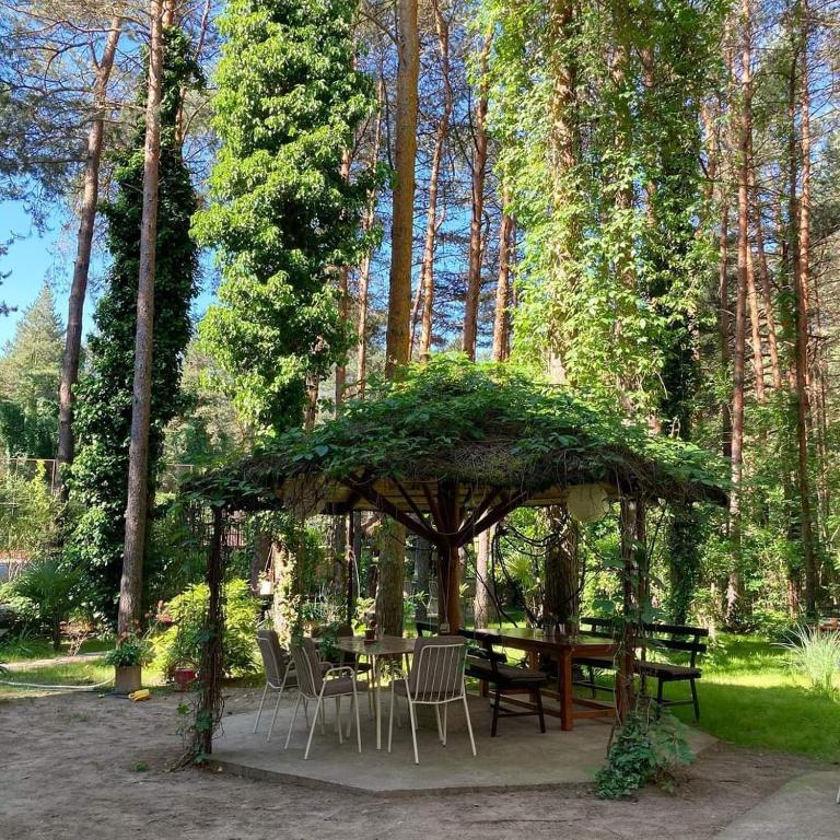 Κήπος έξω από το Vila Dunavski Raj