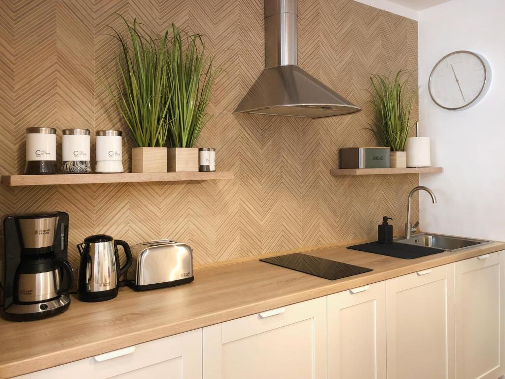 Kuchyň nebo kuchyňský kout v ubytování Apartamenty Forest&Sea