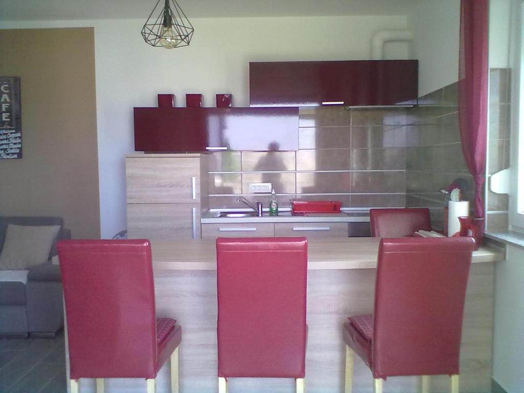 Kuchyň nebo kuchyňský kout v ubytování Apartman Mihalj Zadar-Rtina Miletici