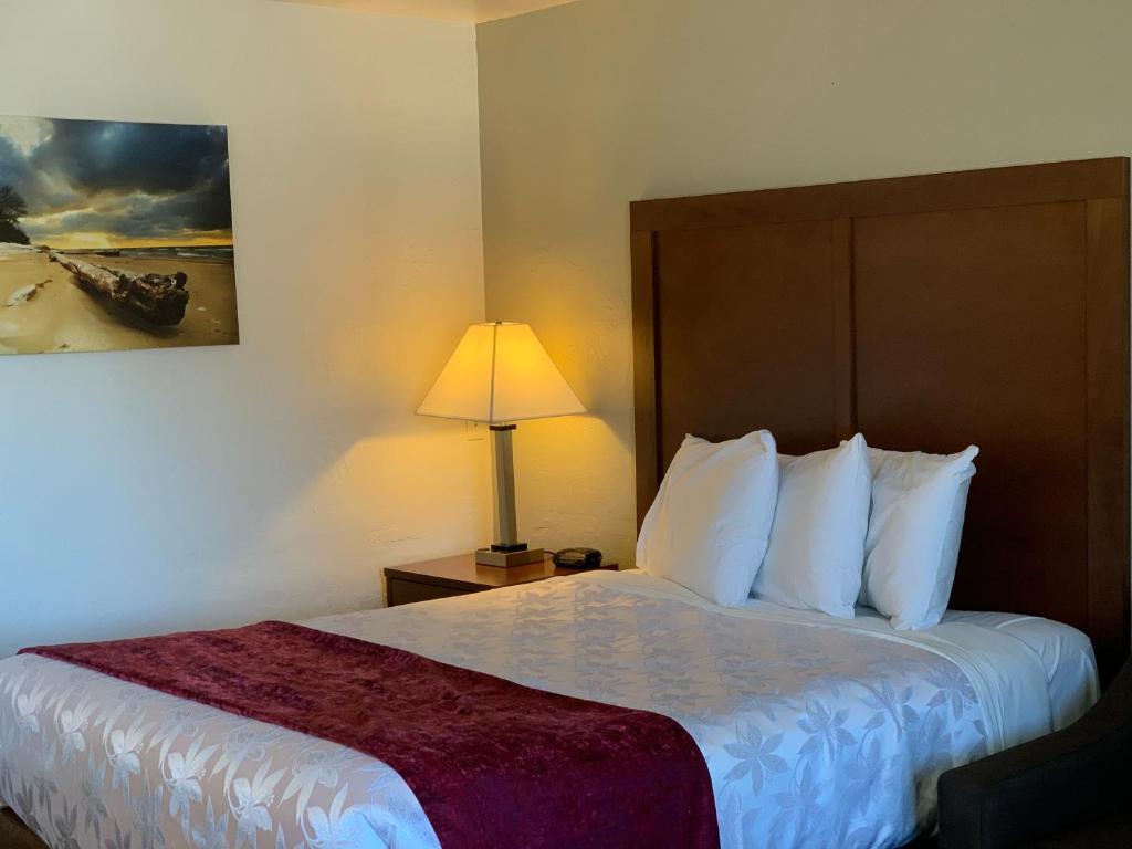 a hotel room with a bed and a lamp at Red Carpet Inn Medford in Medford
