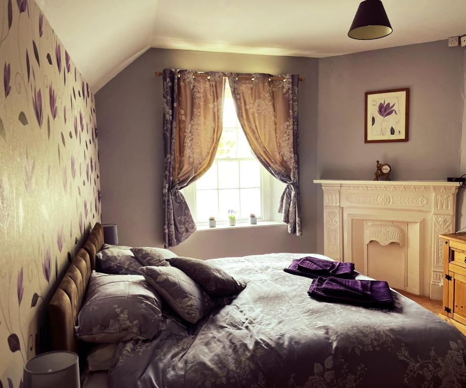 a bedroom with a bed with a fireplace and a window at the Dartmoor bnb in Yelverton