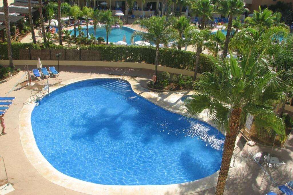 an overhead view of a swimming pool with a palm tree at Apartamento Playa Marina Particular Isla Canela in Huelva