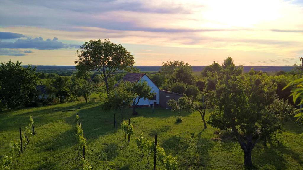 Hajnal Apartman Szigetvár 7900 Szigetvár, Erzsébet dűlő kép - 1