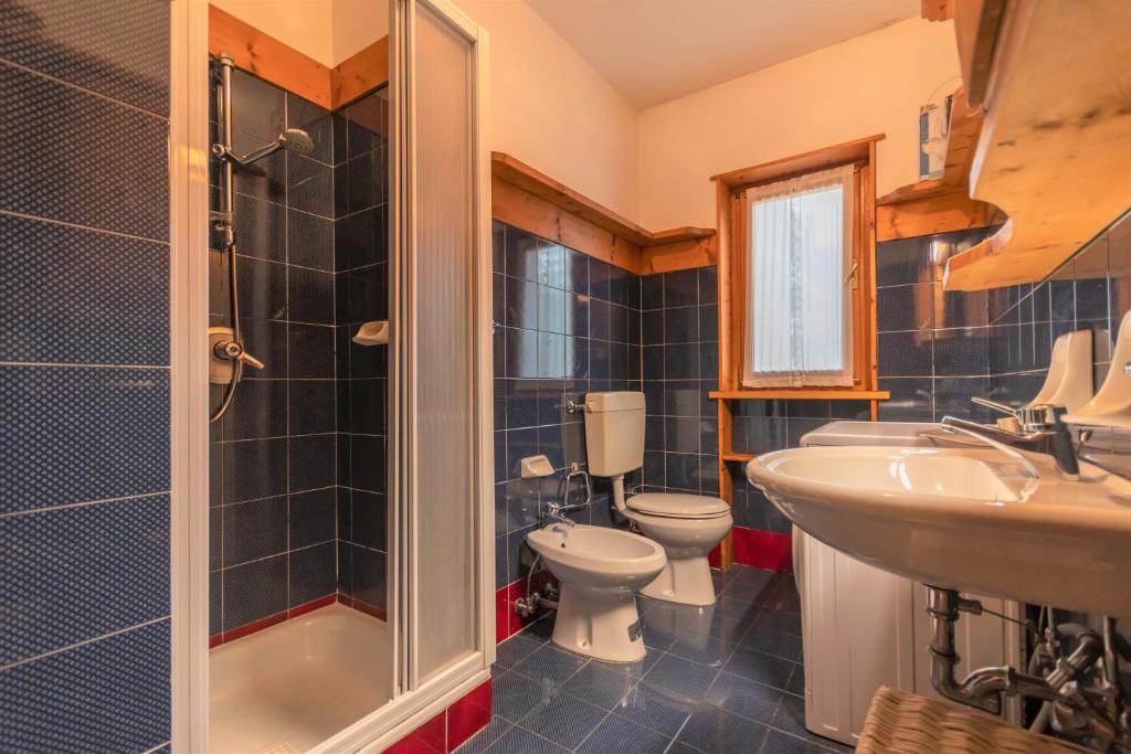 łazienka z toaletą, umywalką i prysznicem w obiekcie Ski Residence 3B w mieście Falcade