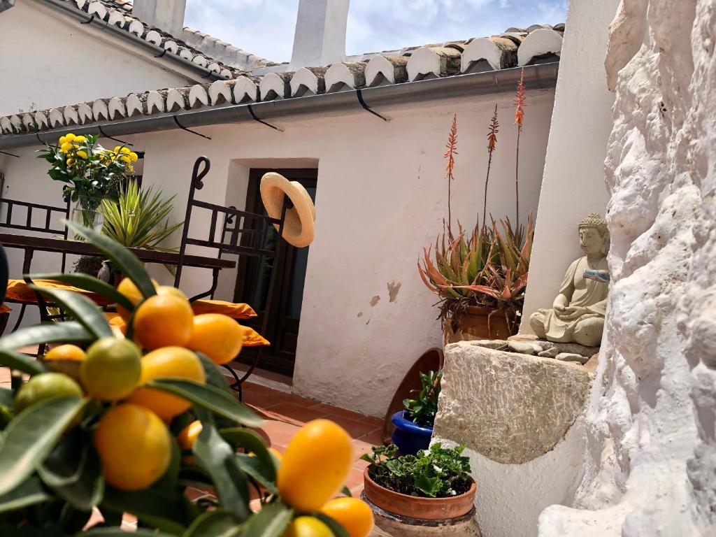 Fotografie z fotogalerie ubytování Almohalla51 v destinaci Archidona