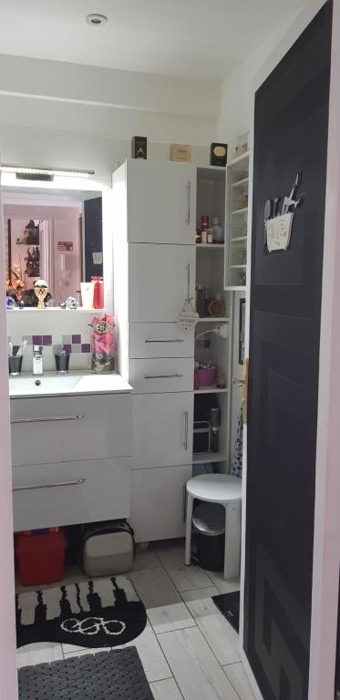 uma casa de banho com um lavatório e um espelho em CHAMBRE CHEZ L'HABITANT - ROOM IN THE OWNER'S APARTMENT em Nice