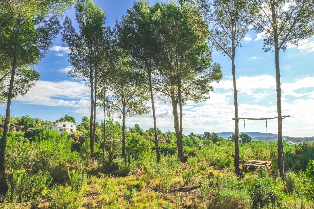 Luxury tent Wild Spirit Room, Villanueva de Alcolea, Spain ...