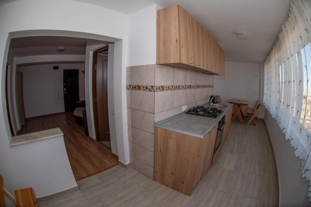 Vila Eliade - Superior Apartment
