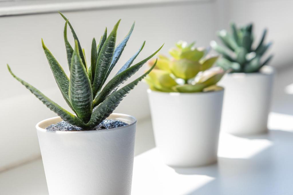 Yeshello Central Station Studio - 9