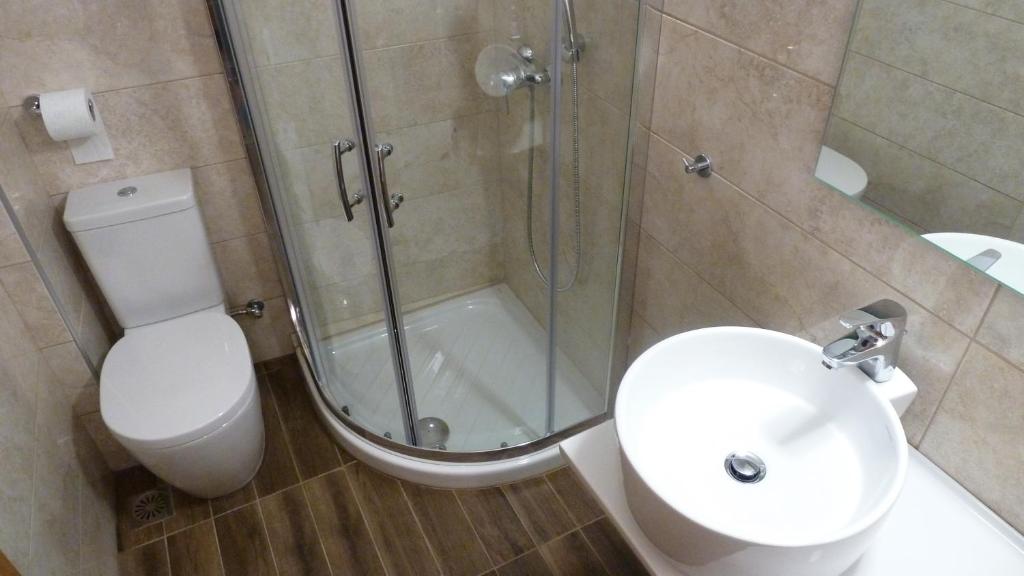 a bathroom with a shower and a toilet and a sink at Evridiki Hotel in Fourka