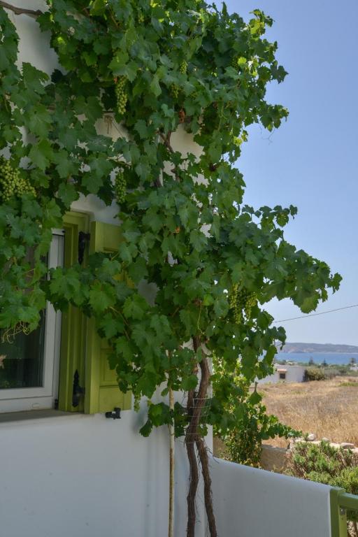 Zeras Apartments - 15