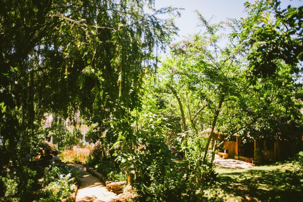 a path through a forest with trees and a fence at Đà Lạt Củi Homestay in Da Lat