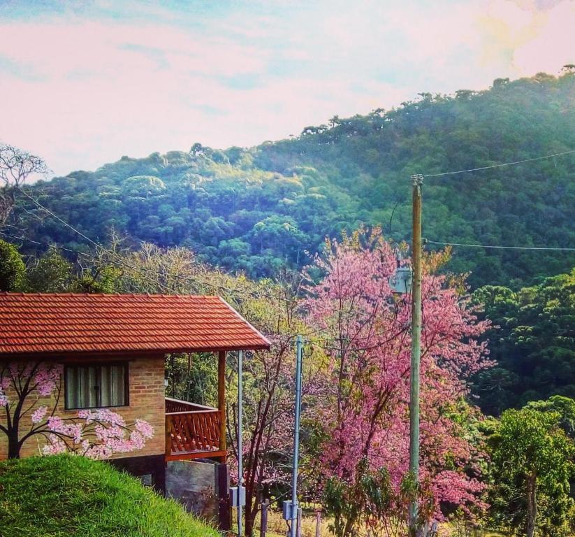 a house with pink trees in front of a mountain at Sonho na Serra Chalé 1 in Gonçalves