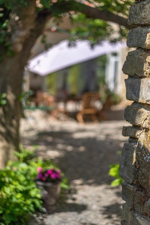 Zahrada ubytování Maison d'Hôtes Mas de la Chadenede
