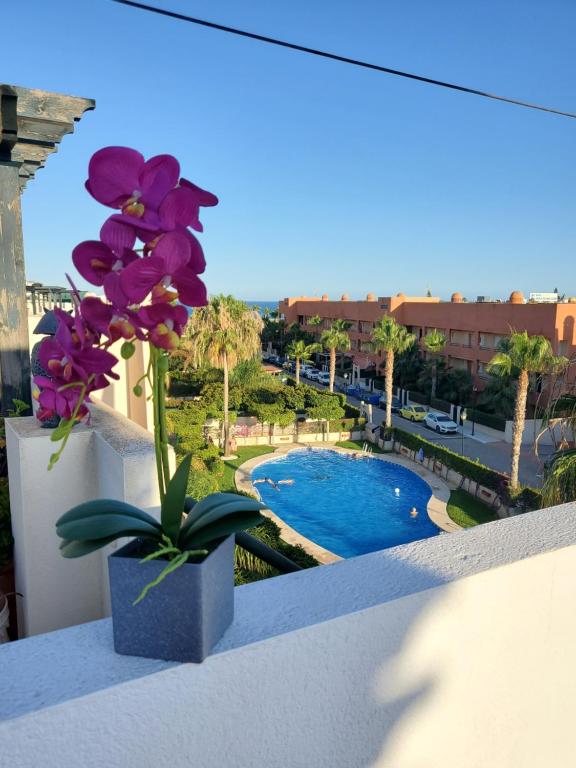 a vase of purple flowers on a balcony with a pool at Ático dúplex con piscina privada y vistas al mar en Paraíso de Vera! in Vera