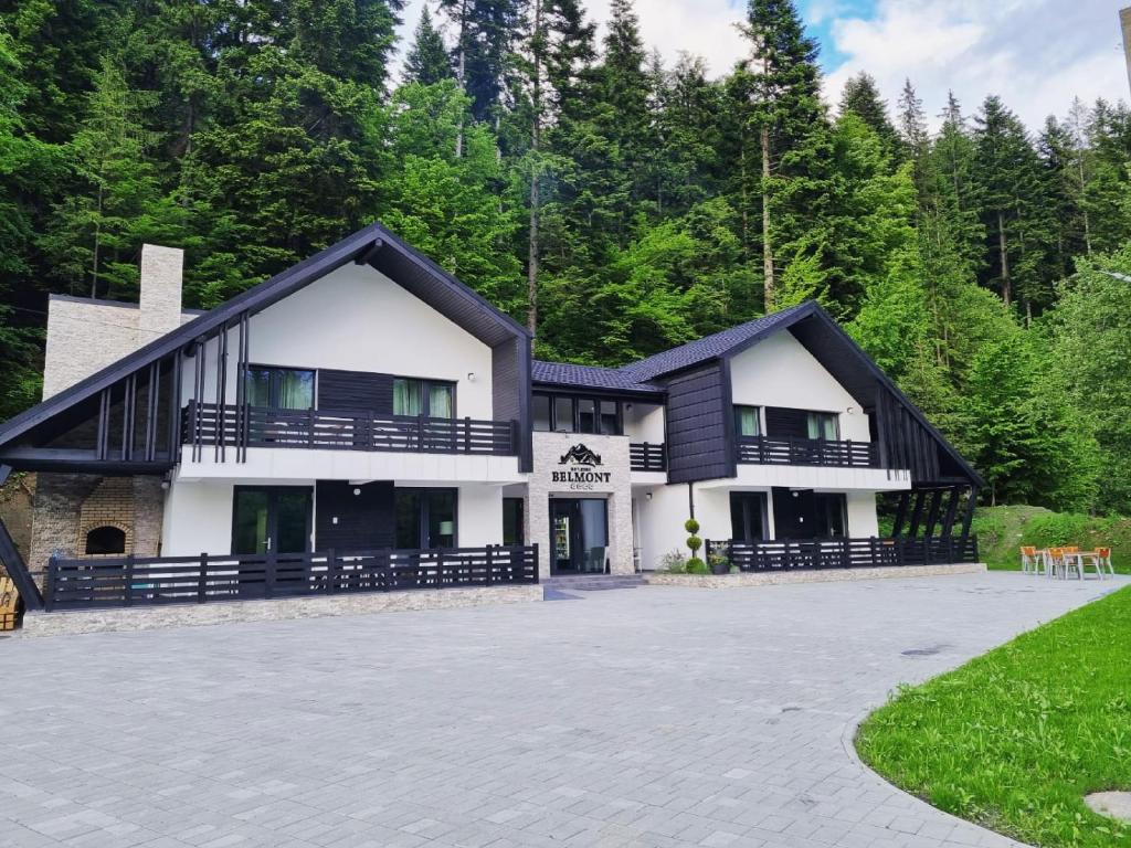 Gallery image of Belmont Voronet in Voronet