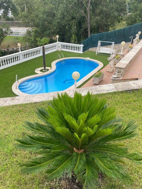 a swimming pool in a yard with a palm tree at Charming 8-Bed Villa in Girona in Girona