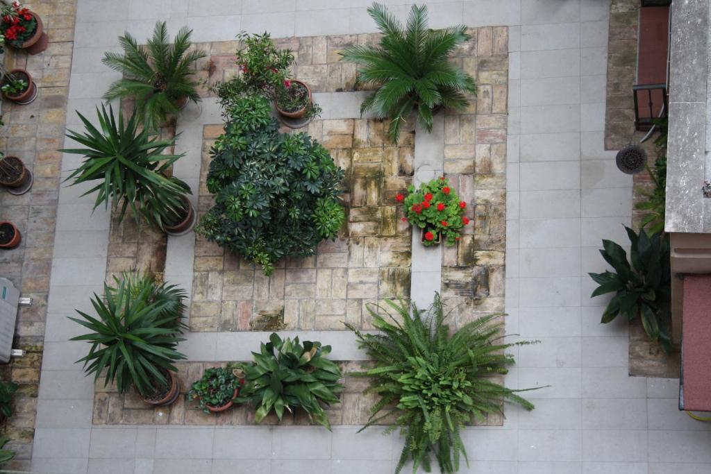 A garden outside Roma Da Noi Suite