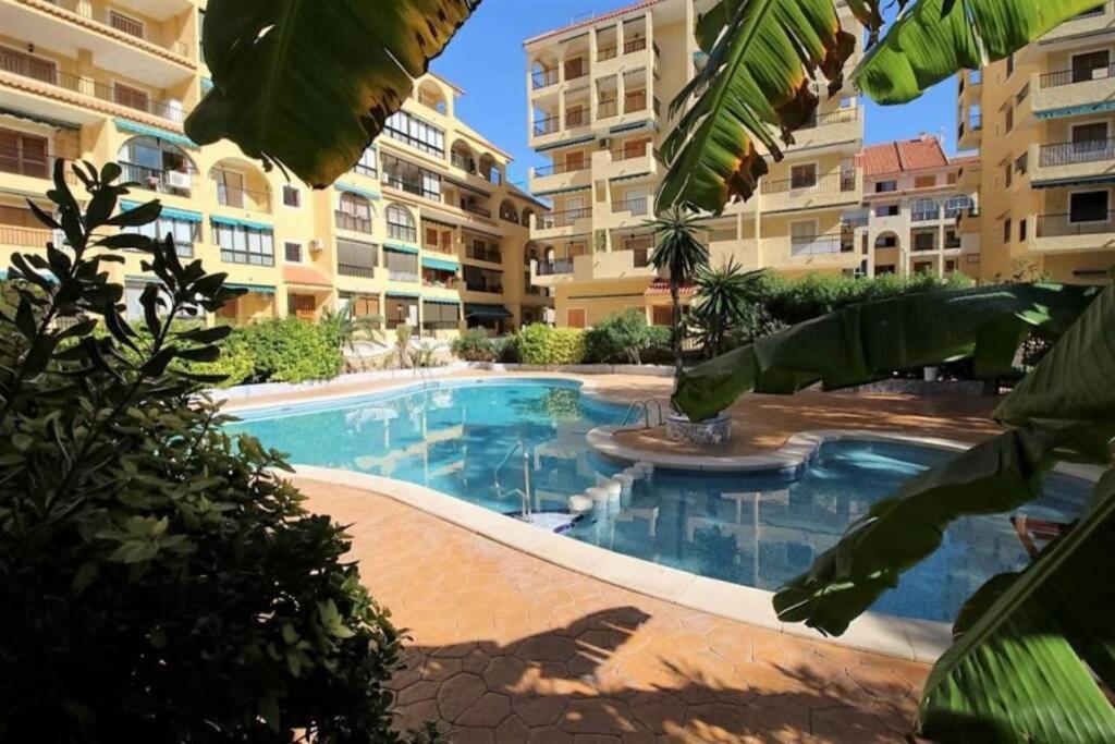 Apartament Studio, La Mata , Torrevieja, Viñamar 3 (España La ...