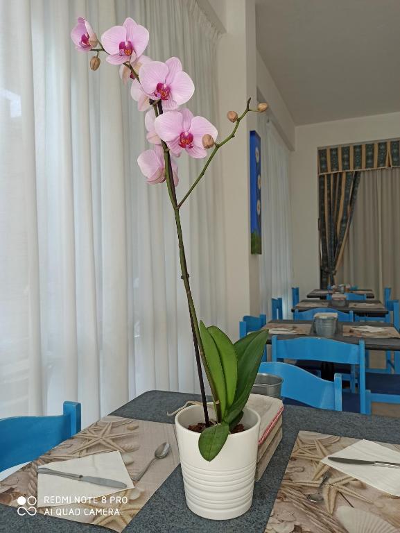 Restaurace v ubytování Arix Hotel