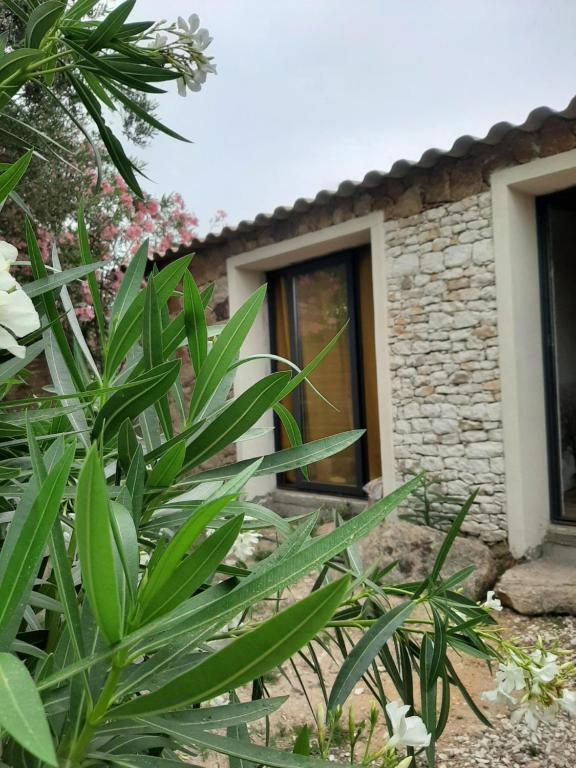 ein Haus mit Fenster und einigen Pflanzen in der Unterkunft Mini Villa Giuseppina in Bonifacio