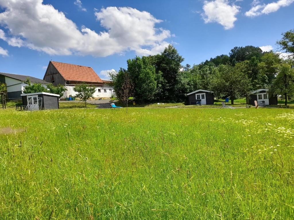 un champ d'herbe verte avec des maisons en arrière-plan dans l'établissement Camping Weides, à Küps