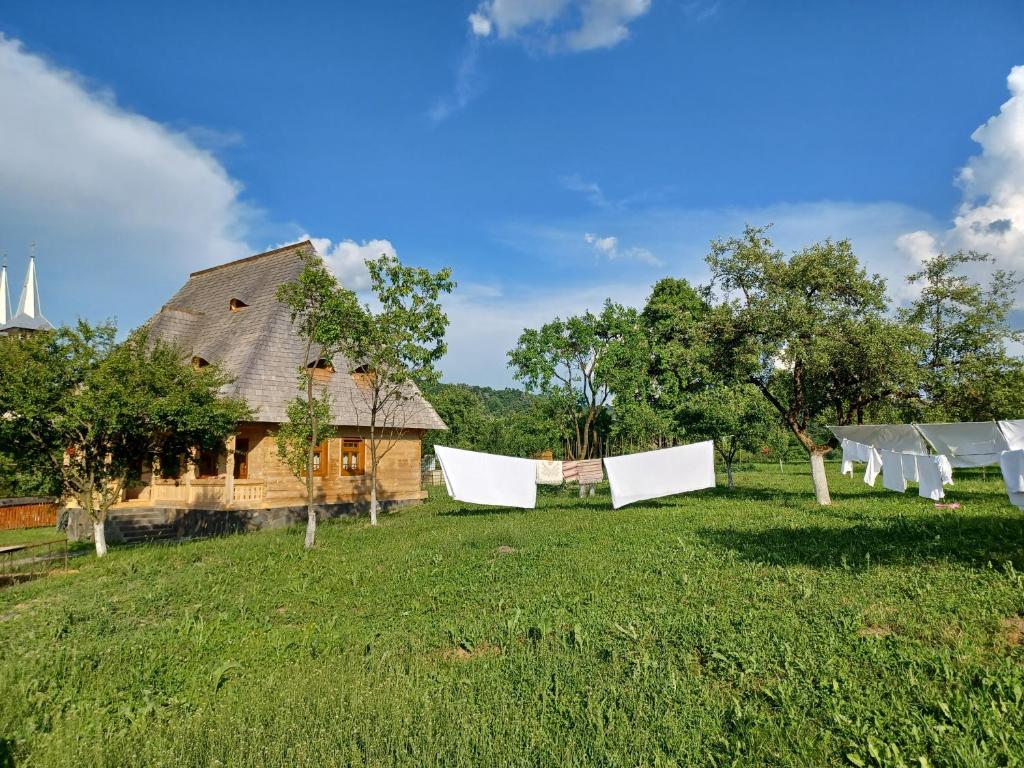 Zahrada ubytování Pensiunea Agroturistica Casa Pribegilor
