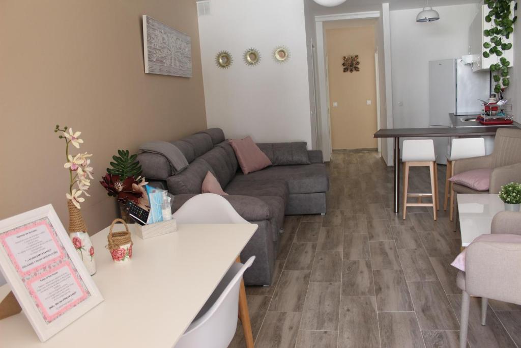 貝瑙漢的住宿－Apartamento Guadiaro 3 Ainhoa，客厅配有沙发和桌子